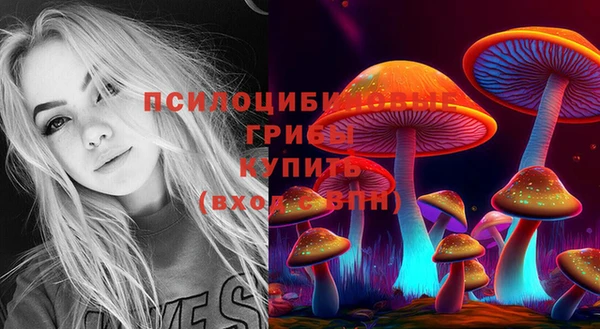 герыч Бородино